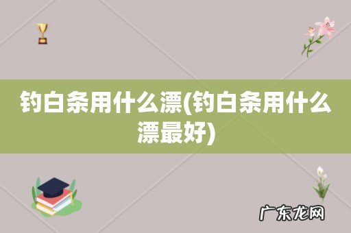 钓白条用什么漂最好 钓白条用什么漂