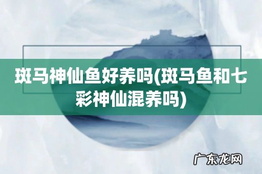 斑马鱼和七彩神仙混养吗 斑马神仙鱼好养吗