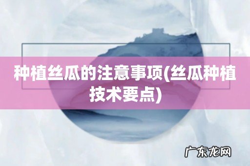 丝瓜种植技术要点 种植丝瓜的注意事项