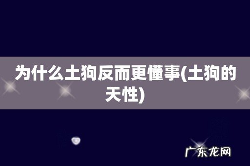 土狗的天性 为什么土狗反而更懂事