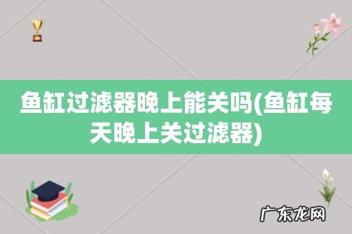 鱼缸每天晚上关过滤器 鱼缸过滤器晚上能关吗