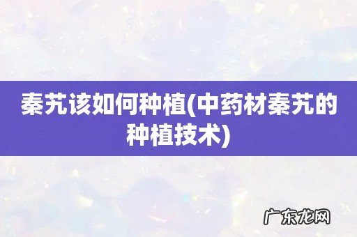 中药材秦艽的种植技术 秦艽该如何种植
