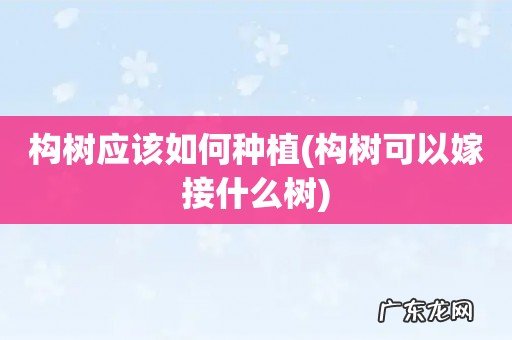 构树可以嫁接什么树 构树应该如何种植
