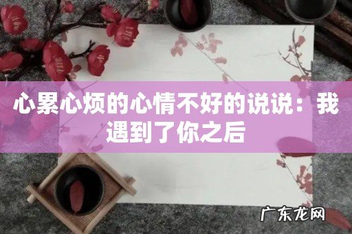 心累心烦的心情不好的说说：我遇到了你之后