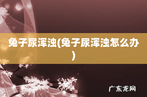 兔子尿浑浊怎么办 兔子尿浑浊