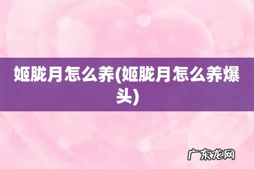 姬胧月怎么养爆头 姬胧月怎么养