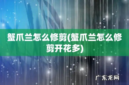 蟹爪兰怎么修剪开花多 蟹爪兰怎么修剪