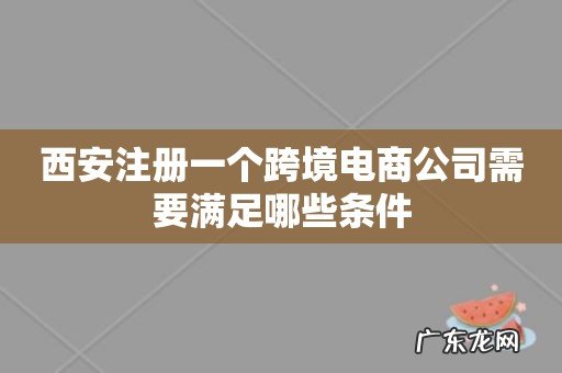 西安注册一个跨境电商公司需要满足哪些条件