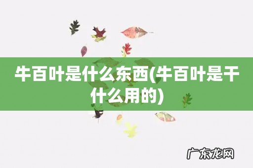 牛百叶是干什么用的 牛百叶是什么东西