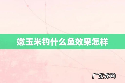 嫩玉米钓什么鱼效果怎样
