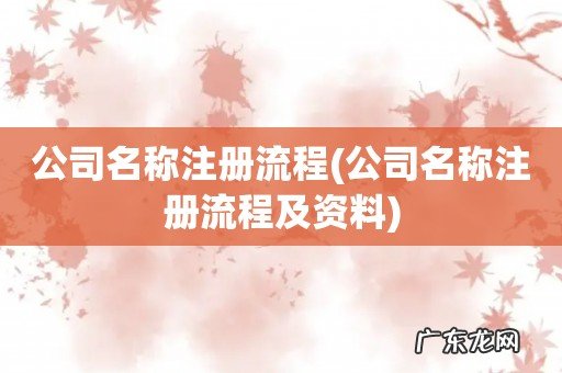 公司名称注册流程及资料 公司名称注册流程