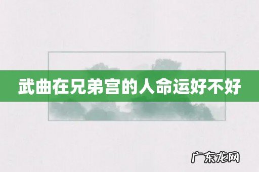 武曲在兄弟宫的人命运好不好