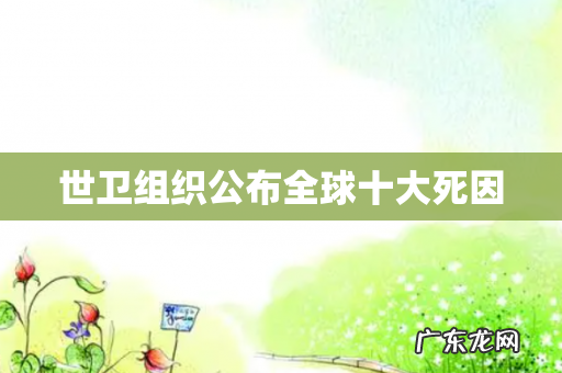 世卫组织公布全球十大死因