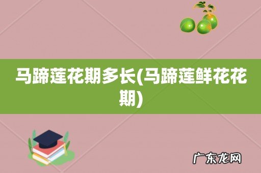 马蹄莲鲜花花期 马蹄莲花期多长