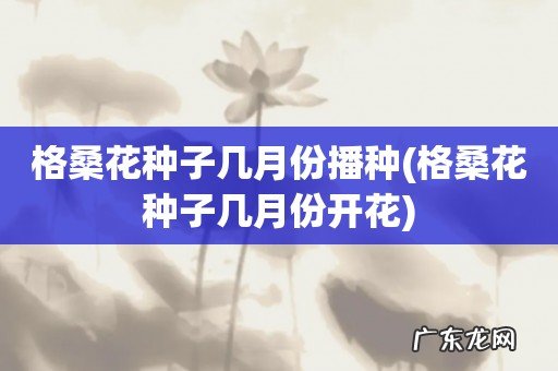 格桑花种子几月份开花 格桑花种子几月份播种