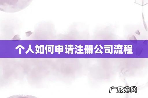 个人如何申请注册公司流程