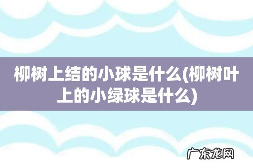 柳树叶上的小绿球是什么 柳树上结的小球是什么