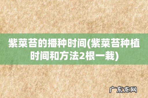 紫菜苔种植时间和方法2根一栽 紫菜苔的播种时间