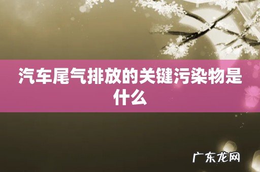 汽车尾气排放的关键污染物是什么