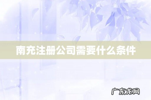 南充注册公司需要什么条件