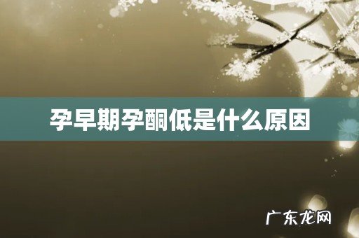 孕早期孕酮低是什么原因