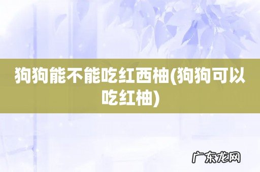 狗狗可以吃红柚 狗狗能不能吃红西柚