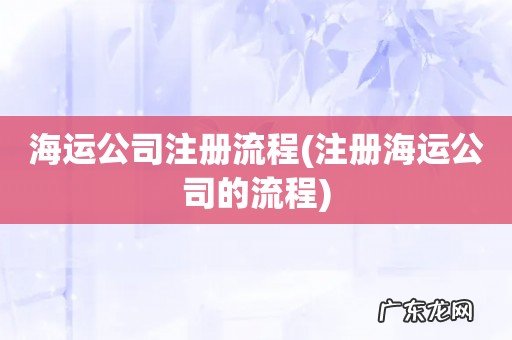 注册海运公司的流程 海运公司注册流程