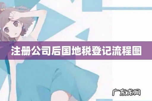 注册公司后国地税登记流程图