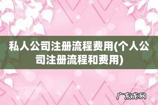 个人公司注册流程和费用 私人公司注册流程费用