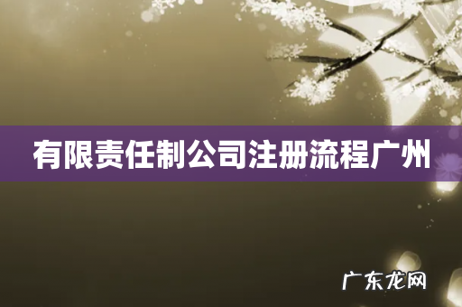 有限责任制公司注册流程广州
