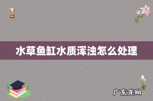 水草鱼缸水质浑浊怎么处理