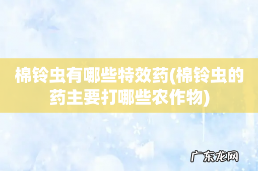 棉铃虫的药主要打哪些农作物 棉铃虫有哪些特效药