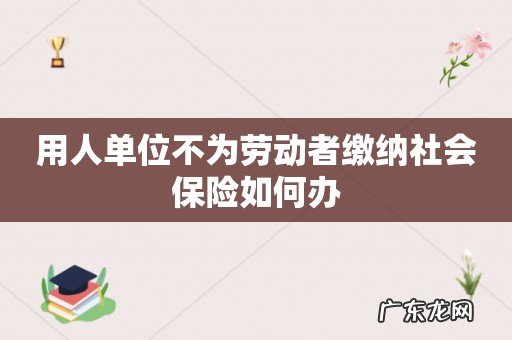 用人单位不为劳动者缴纳社会保险如何办