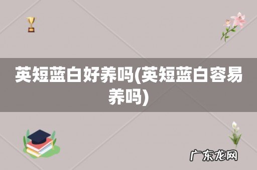 英短蓝白容易养吗 英短蓝白好养吗