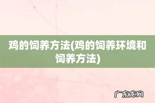 鸡的饲养环境和饲养方法 鸡的饲养方法