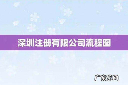 深圳注册有限公司流程图