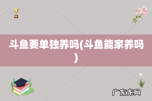 斗鱼能家养吗 斗鱼要单独养吗