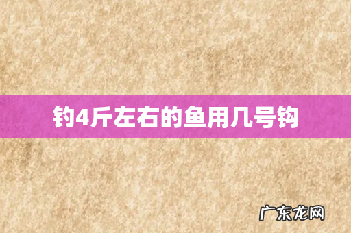 钓4斤左右的鱼用几号钩