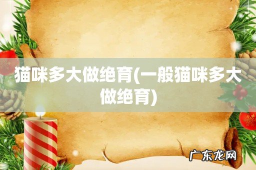 一般猫咪多大做绝育 猫咪多大做绝育