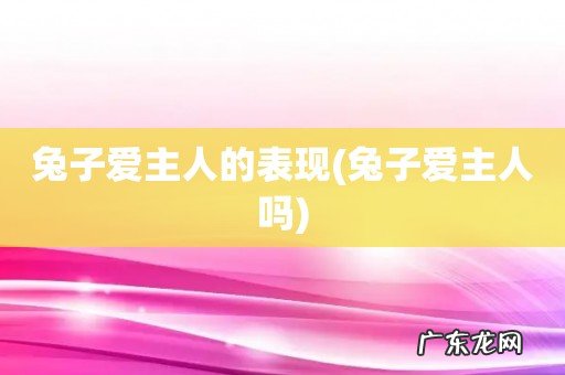 兔子爱主人吗 兔子爱主人的表现