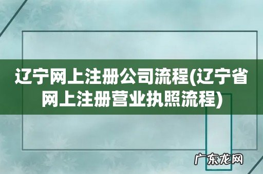 辽宁省网上注册营业执照流程 辽宁网上注册公司流程
