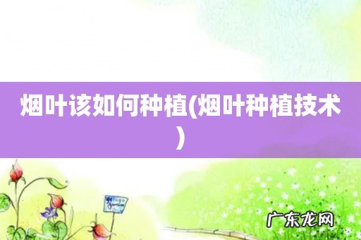 烟叶种植技术 烟叶该如何种植