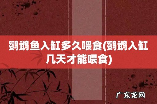 鹦鹉入缸几天才能喂食 鹦鹉鱼入缸多久喂食