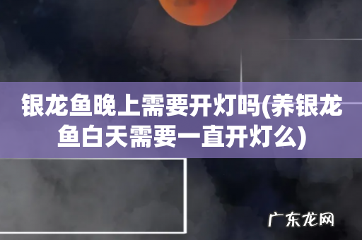 养银龙鱼白天需要一直开灯么 银龙鱼晚上需要开灯吗
