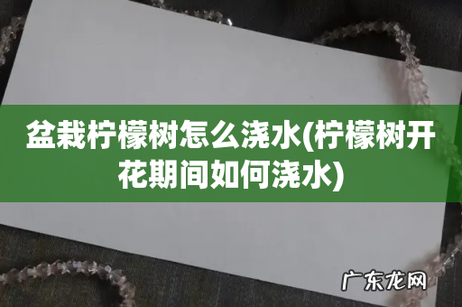 柠檬树开花期间如何浇水 盆栽柠檬树怎么浇水