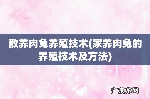 家养肉兔的养殖技术及方法 散养肉兔养殖技术