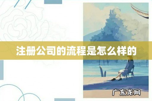 注册公司的流程是怎么样的