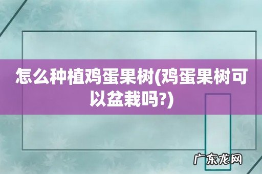 鸡蛋果树可以盆栽吗? 怎么种植鸡蛋果树