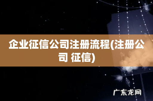 注册公司 征信 企业征信公司注册流程