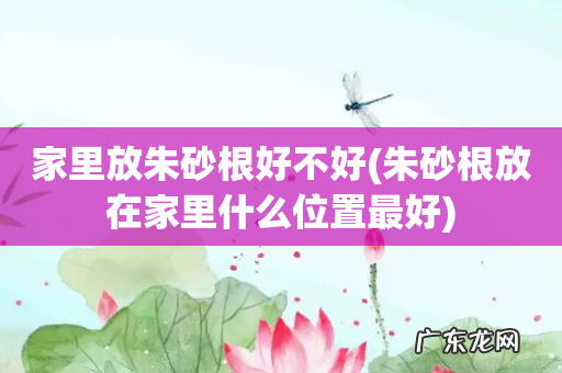 朱砂根放在家里什么位置最好 家里放朱砂根好不好